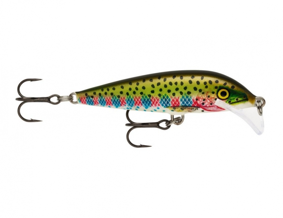 Scatter Rap CountDown color Rainbow Trout