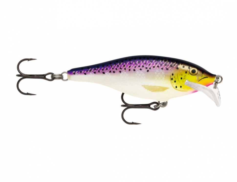 Scatter Rap Shad color Purpledescent