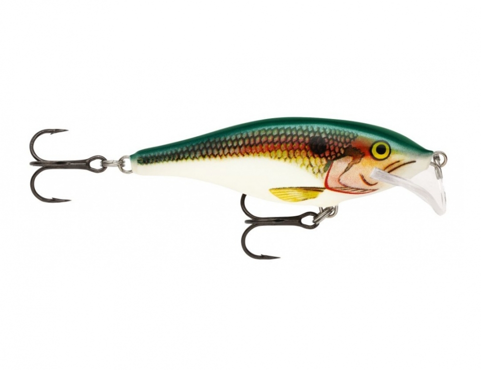 Scatter Rap Shad color Shad