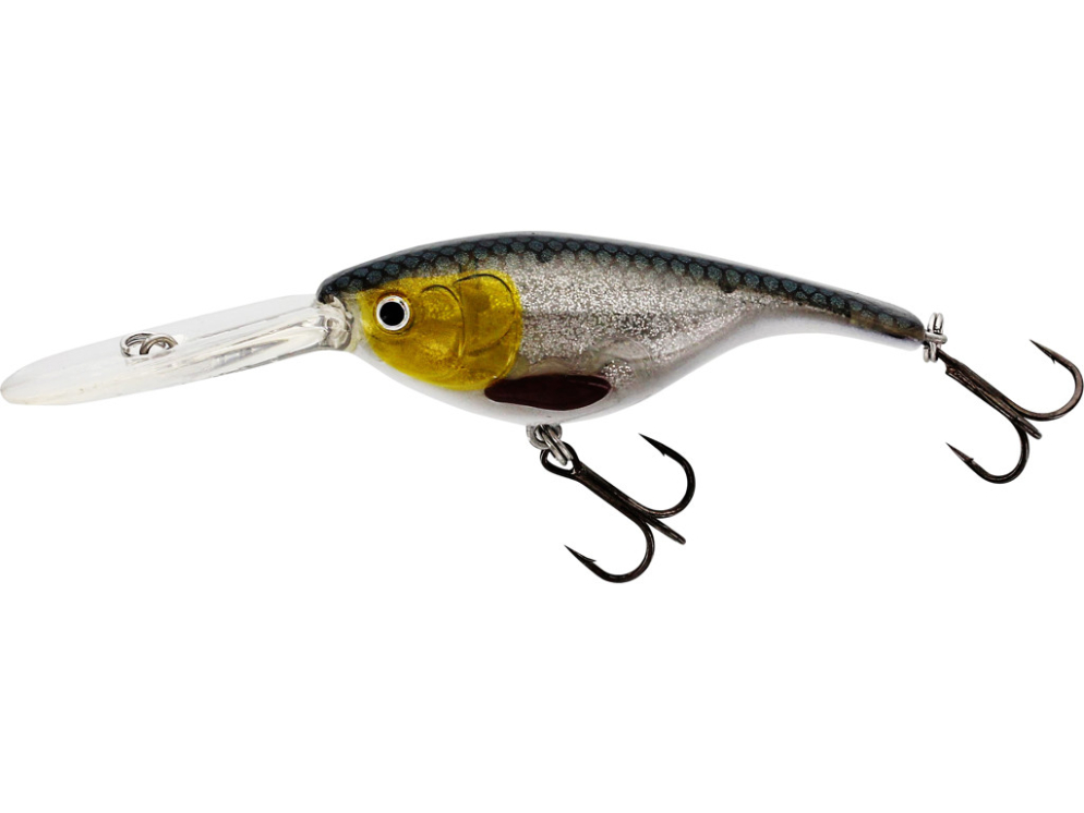 Babybite DR Crankbait color 3D Headlight