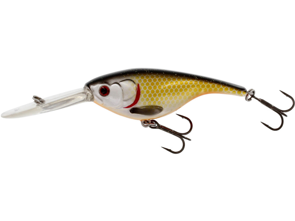 Babybite DR Crankbait color Official Roach