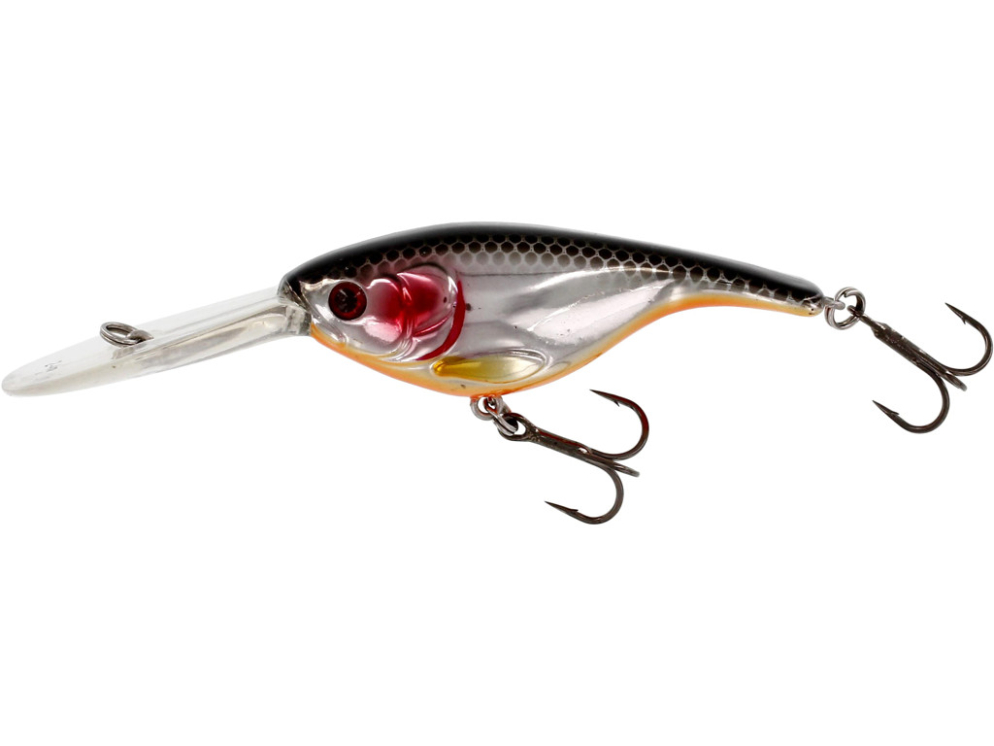 Babybite DR Crankbait color Steel Sardine