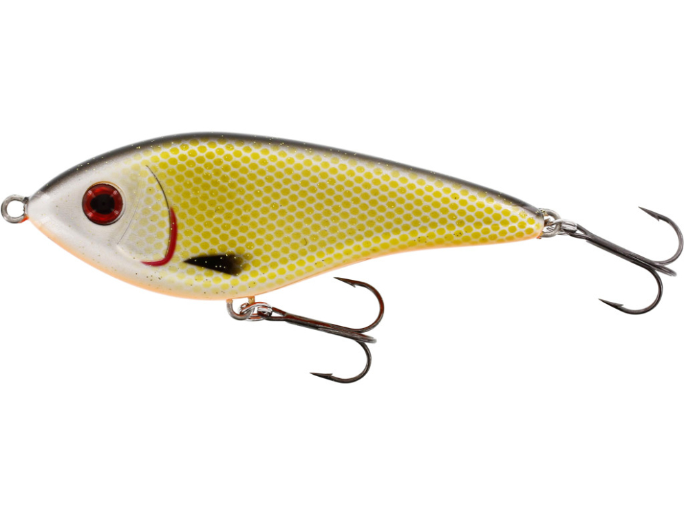 Swim GlideBait color Official Roach