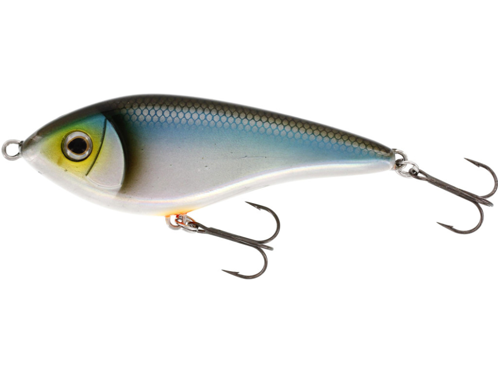 Swim GlideBait color Blueback Herring