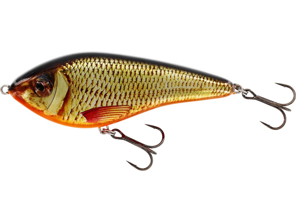 Swim GlideBait color Real Rudd