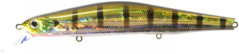 Orbit 130SP color 509